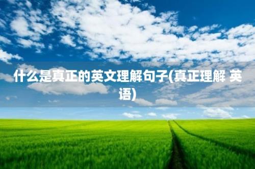 什么是真正的英文理解句子(真正理解 英语)