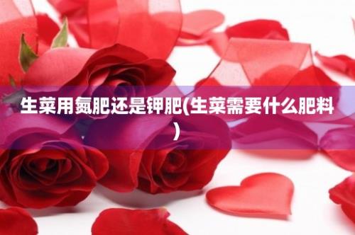 生菜用氮肥还是钾肥(生菜需要什么肥料)