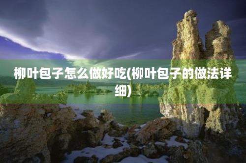 柳叶包子怎么做好吃(柳叶包子的做法详细)