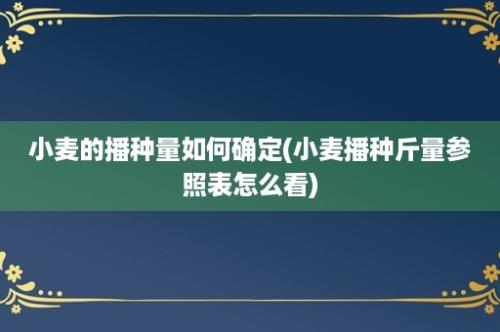 小麦的播种量如何确定(小麦播种斤量参照表怎么看)