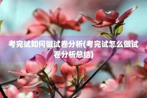 考完试如何做试卷分析(考完试怎么做试卷分析总结)