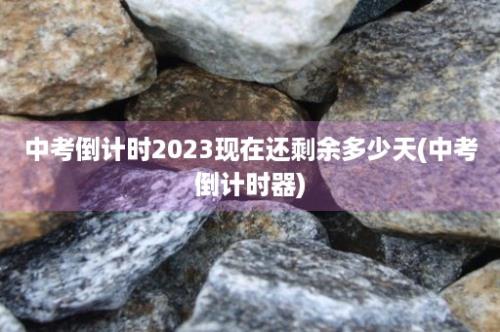 中考倒计时2023现在还剩余多少天(中考倒计时器)