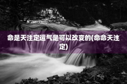 命是天注定运气是可以改变的(命命天注定)