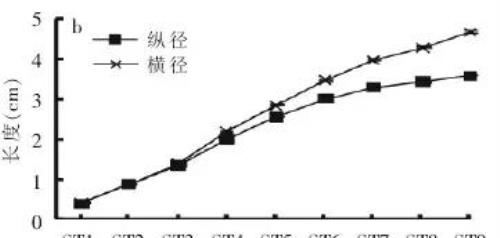 砂糖橘果太小，果农很头疼，现在还有补救方法吗？