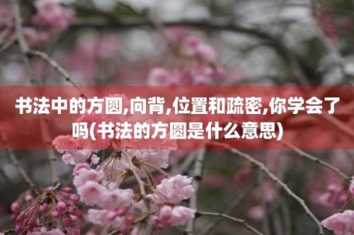 书法中的方圆,向背,位置和疏密,你学会了吗(书法的方圆是什么意思)