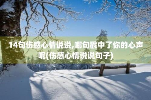 14句伤感心情说说,哪句戳中了你的心声呢(伤感心情说说句子)