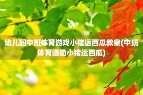 幼儿园中班体育游戏小猪运西瓜教案(中班体育活动小猪运西瓜)