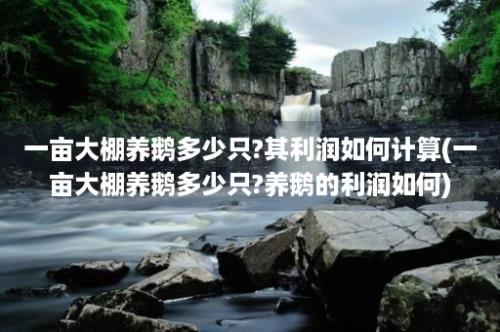 一亩大棚养鹅多少只?其利润如何计算(一亩大棚养鹅多少只?养鹅的利润如何)