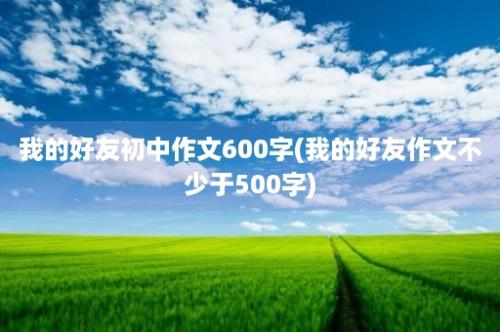 我的好友初中作文600字(我的好友作文不少于500字)