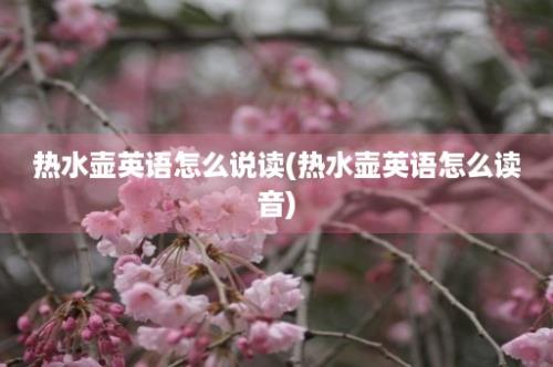 热水壶英语怎么说读(热水壶英语怎么读音)