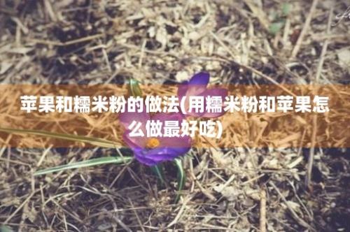 苹果和糯米粉的做法(用糯米粉和苹果怎么做最好吃)