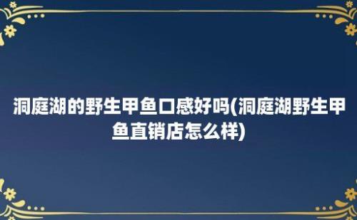 洞庭湖的野生甲鱼口感好吗(洞庭湖野生甲鱼直销店怎么样)