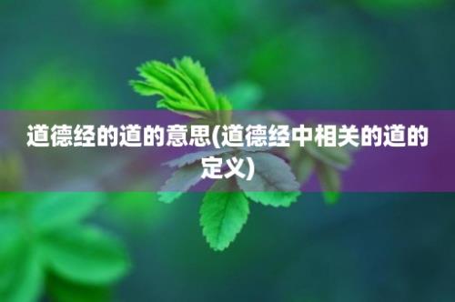 道德经的道的意思(道德经中相关的道的定义)