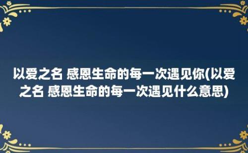 以爱之名 感恩生命的每一次遇见你(以爱之名 感恩生命的每一次遇见什么意思)