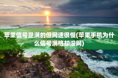 苹果信号是满的但网速很慢(苹果手机为什么信号满格却没网)