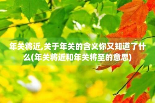 年关将近,关于年关的含义你又知道了什么(年关将近和年关将至的意思)