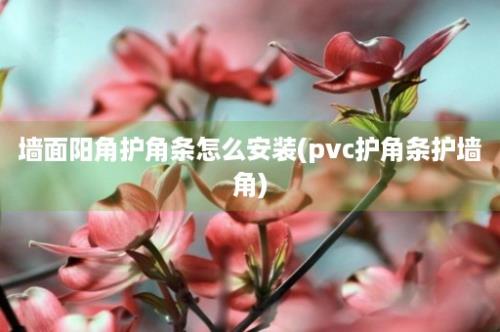 墙面阳角护角条怎么安装(pvc护角条护墙角)