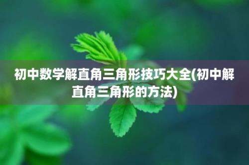 初中数学解直角三角形技巧大全(初中解直角三角形的方法)