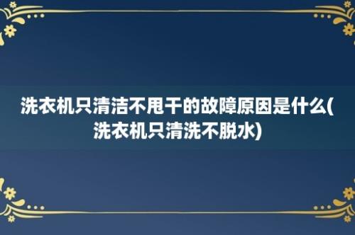 洗衣机只清洁不甩干的故障原因是什么(洗衣机只清洗不脱水)