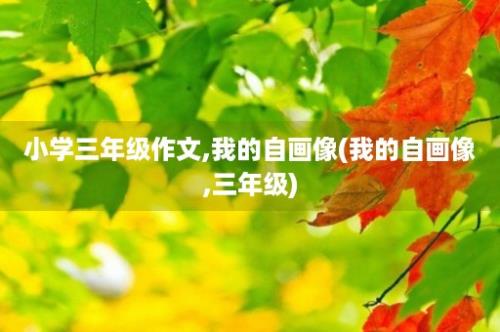 小学三年级作文,我的自画像(我的自画像,三年级)