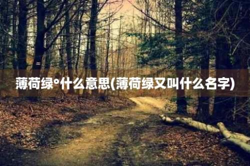 薄荷绿°什么意思(薄荷绿又叫什么名字)