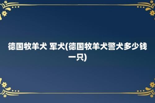 德国牧羊犬 军犬(德国牧羊犬警犬多少钱一只)