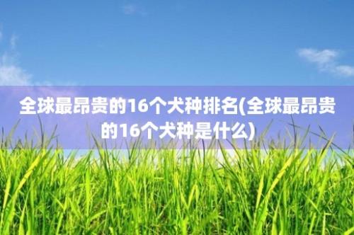 全球最昂贵的16个犬种排名(全球最昂贵的16个犬种是什么)