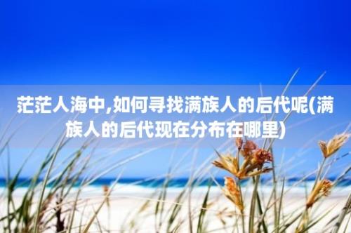 茫茫人海中,如何寻找满族人的后代呢(满族人的后代现在分布在哪里)