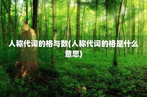 人称代词的格与数(人称代词的格是什么意思)