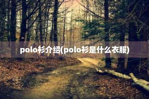 polo衫介绍(polo衫是什么衣服)