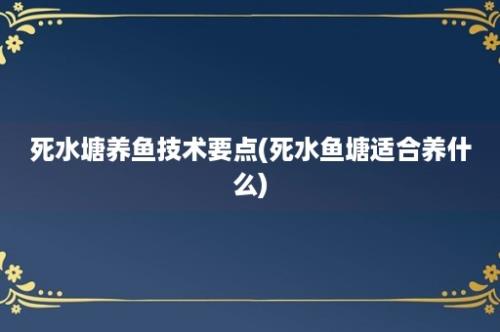 死水塘养鱼技术要点(死水鱼塘适合养什么)