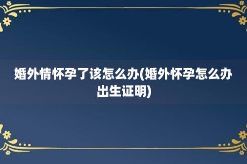 婚外情怀孕了该怎么办(婚外怀孕怎么办出生证明)