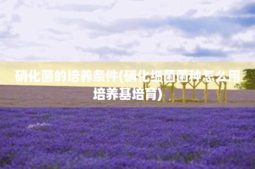 硝化菌的培养条件(硝化细菌菌种怎么用培养基培育)