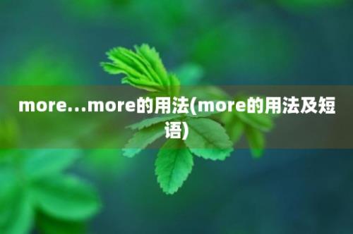 more…more的用法(more的用法及短语)