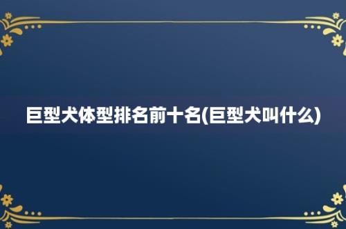 巨型犬体型排名前十名(巨型犬叫什么)