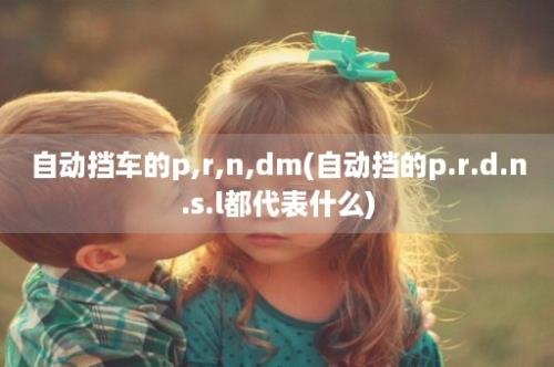 自动挡车的p,r,n,dm(自动挡的p.r.d.n.s.l都代表什么)