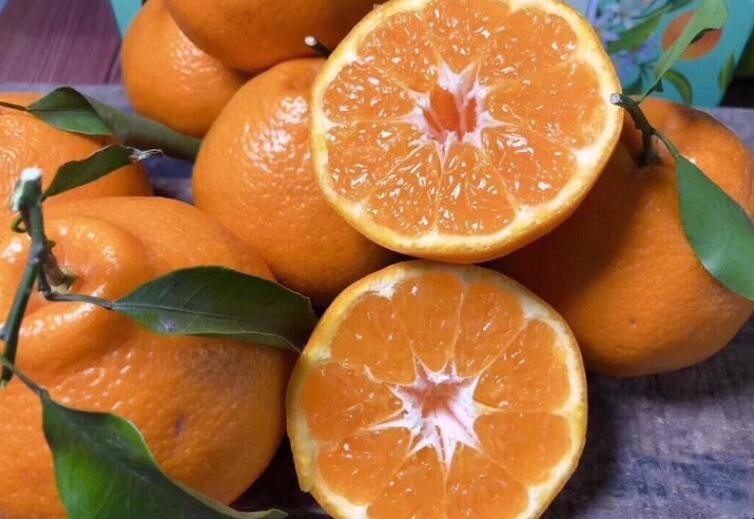 粑粑柑怎么挑选