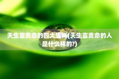 天生富贵命的四大生肖(天生富贵命的人是什么样的?)