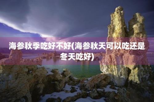 海参秋季吃好不好(海参秋天可以吃还是冬天吃好)