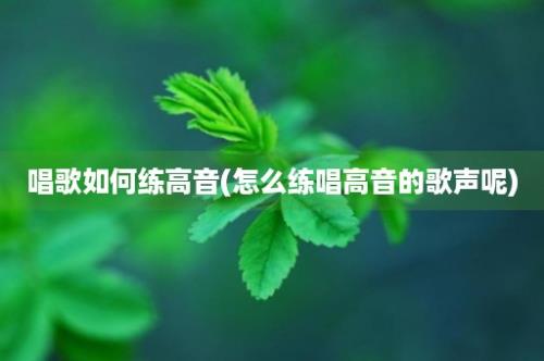 唱歌如何练高音(怎么练唱高音的歌声呢)