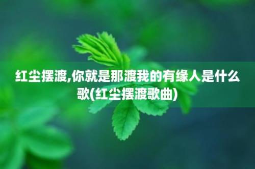 红尘摆渡,你就是那渡我的有缘人是什么歌(红尘摆渡歌曲)