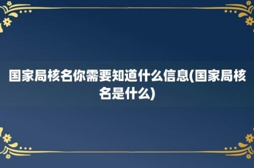 国家局核名你需要知道什么信息(国家局核名是什么)