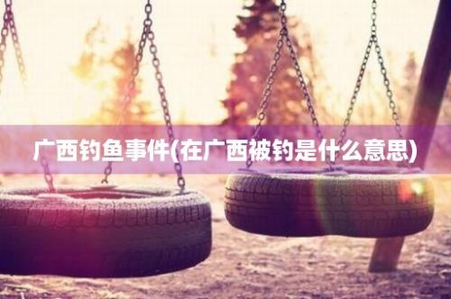 广西钓鱼事件(在广西被钓是什么意思)