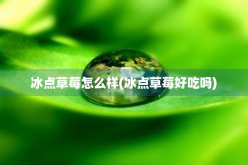 冰点草莓怎么样(冰点草莓好吃吗)