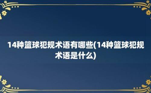 14种篮球犯规术语有哪些(14种篮球犯规术语是什么)