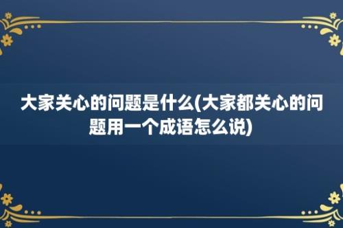 大家关心的问题是什么(大家都关心的问题用一个成语怎么说)