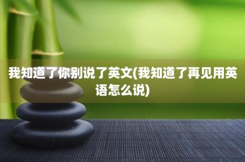 我知道了你别说了英文(我知道了再见用英语怎么说)