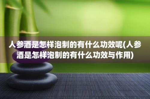 人参酒是怎样泡制的有什么功效呢(人参酒是怎样泡制的有什么功效与作用)