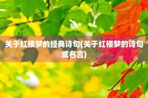 关于红楼梦的经典诗句(关于红楼梦的诗句或名言)