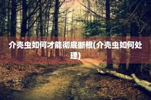 介壳虫如何才能彻底断根(介壳虫如何处理)